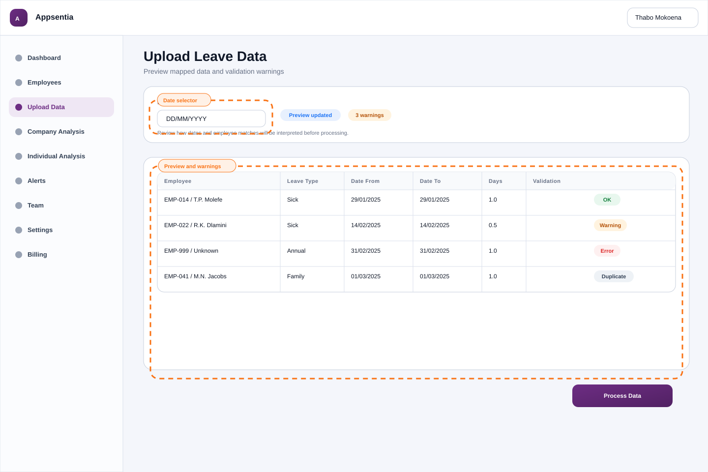 Data preview table showing mapped records and validation warnings